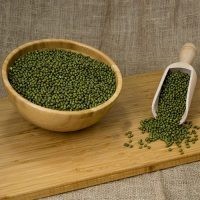 Φασόλι-Ροβίτσα Δημιουργία ΑΕ